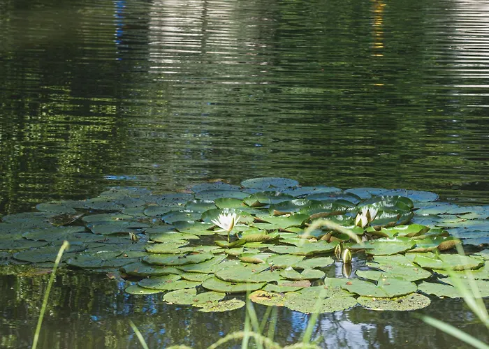 Domaine De La Residence - Hotel, Spa & Restaurant